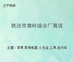铁法市南岭综合厂商店